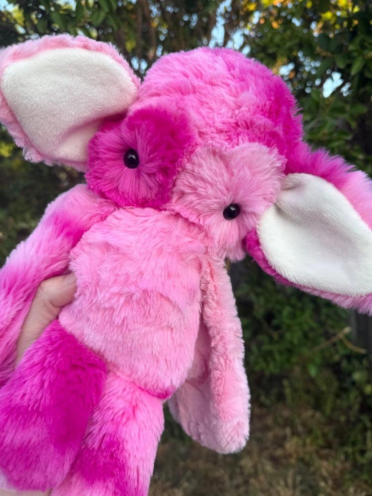 Image of Pinky