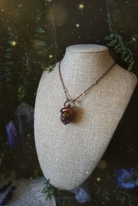 Image 4 of Harvest Moon Acorn 