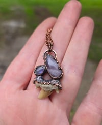 Image 1 of Electroformed shark tooth necklace 01