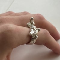 Image 3 of vertebral ring 