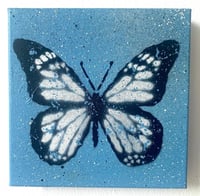 1/1 BUTTERFLY CANVAS #3