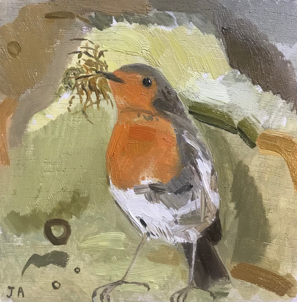 Image of Busy robin 