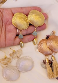 Image 2 of Coastal Dreaming Sea Scallop Collection 