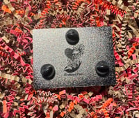 Image 2 of Orange Gaze