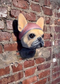 Image 4 of Colin Christian Sculpture “Frenchie Space Dog” in Tan