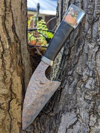 Image 1 of Captured Fairy on Snail Tiger Mai Chef 