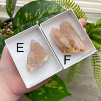 Image 4 of Spirit Quartz Clusters