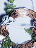 Beachy Topical Winter Wreath with Succulent and Sea Shells 