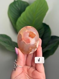 Image 13 of CHOOSE YOUR OWN HQ FLOWER AGATE PALM STONE -MADAGASCAR-