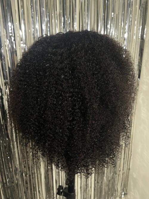 Image of "Don't Touch My Hair" COILY CURLY V-Part Wig 