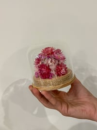 Image 3 of Med Glass Flower Dome - Pink Daisies