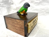 Image 11 of Handmade Custom Engraved Senegal Parrot To Your Photos Bird Urn Figurine Pet Portrait Memorial