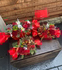 Image 1 of Crackers for Christmas 