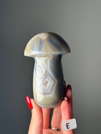 Image 5 of LARGE BANDED AGATE MUSHROOMS