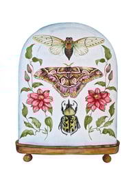 Image 3 of Insect Art Print March Dome, Under Glass Collection