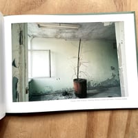 Image 7 of John Darwell - Legacy