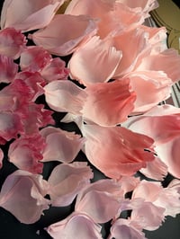 Image 10 of ACID BLOOM workshop