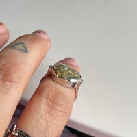 Image 3 of Orange galaxy ring