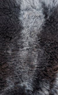 Image 3 of Harting Black Sheepskin #8