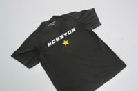 houston (shadow)