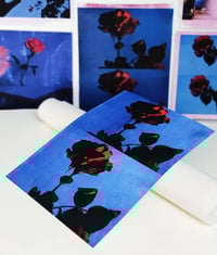 Image 2 of PICK ROSES AT NIGHT I