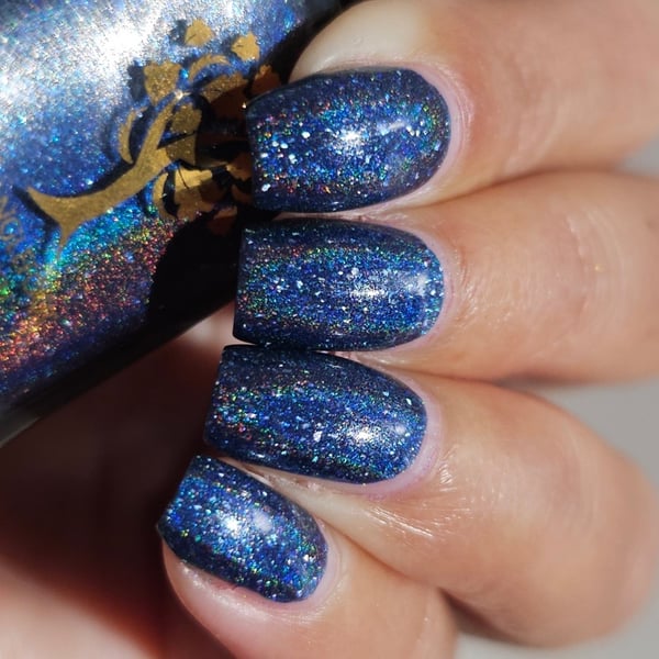 Image of In the stars