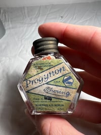 Image 2 of Diaphonzed chameleon with spine birth defect 