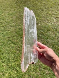 Image 4 of Transparent Selenite Slab #1969