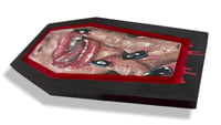 Image 2 of “FANGS” ORIGINAL PAINTING ON COFFIN PANEL 8”x4.5”