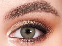 Image 2 of Russian Grey(Prescription)