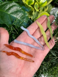 Image 1 of Seaweed Plant Ornaments