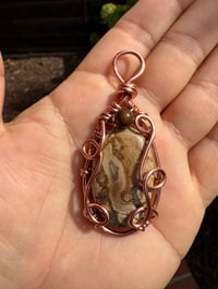 Image 3 of Picture Jasper 