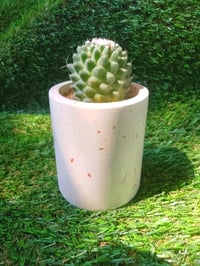 Image 4 of Terrazzo Mammillaria Cylinder Large