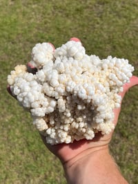 Image 7 of Calcite Crystal Cluster Reef Formation #994