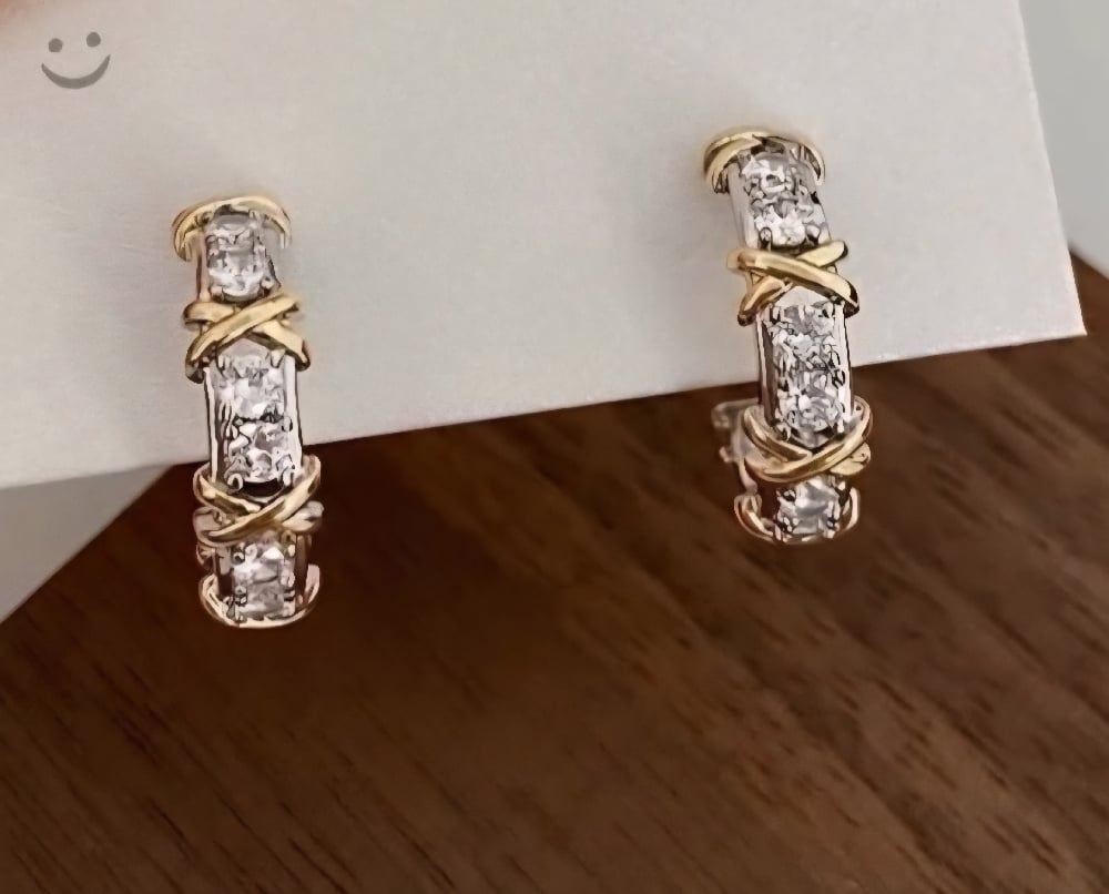 Image of Endless Joy Hoop Earrings