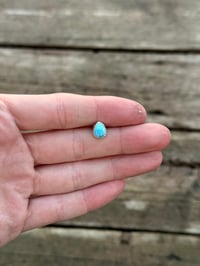 Image 1 of GH Cartilage #3