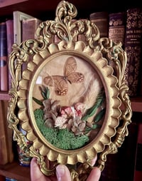 Image 2 of Clear-Wing Butterfly Botanical Frame