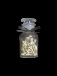 extra large adult cane toad bones jar