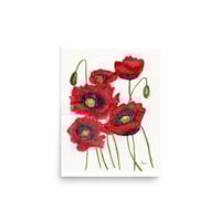 Image 16 of Pop of Poppies- Poster Print