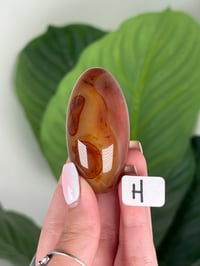 Image 8 of CARNELIAN SHIVAS
