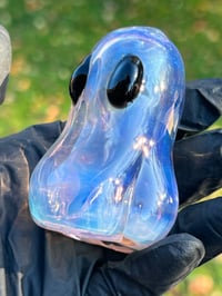 Image 10 of Ghost Pipes