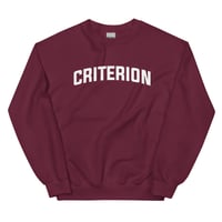 Image 4 of Criterion BLOCK Sweatshirt copy