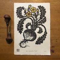 Image 1 of Gilded Turnip 