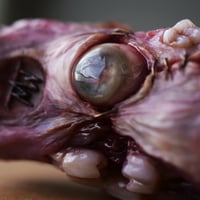 Image 14 of The Monstrous - collectible Clipper Lighter Sleeve