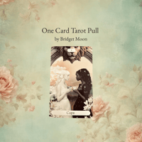 One Card Tarot Pull 
