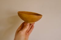 Image 1 of Eating bowl - Beech 2