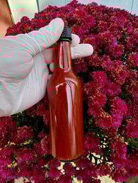 Image 2 of Rudolph's Revenge 