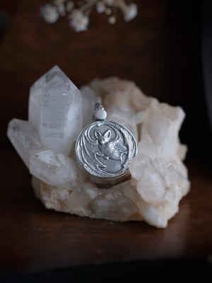 Image of NYX PHOTO LOCKET