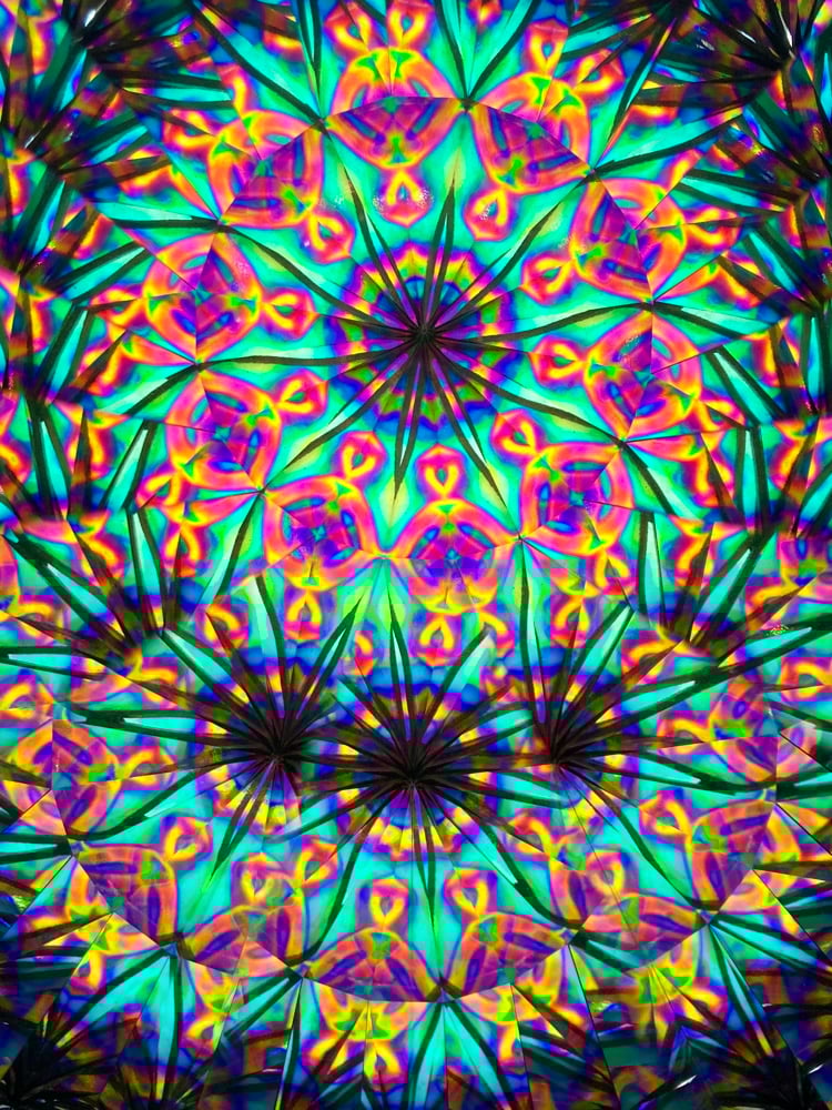 Natural Connection Image 10