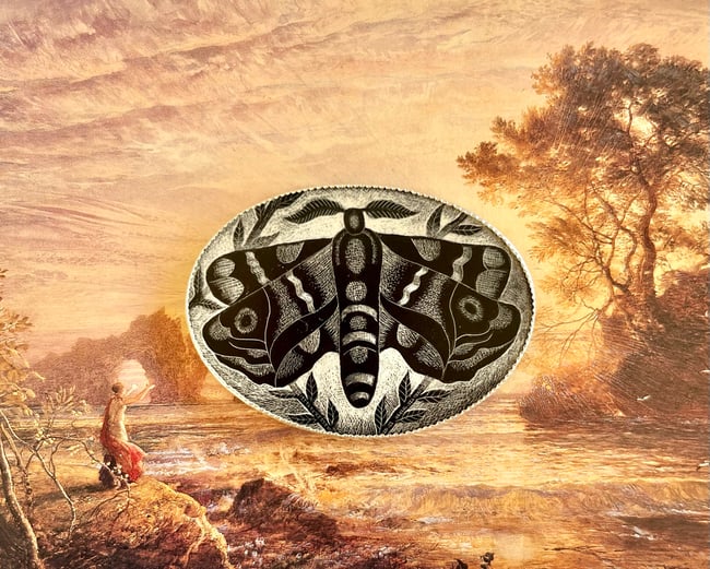 MOTH BROOCH